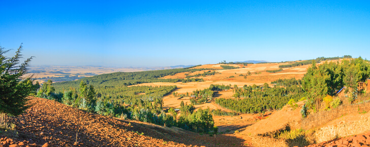 Addis Ababa